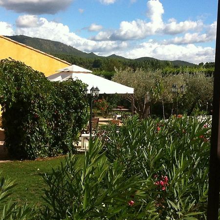 Les cigales des près appartement Aups Esterno foto